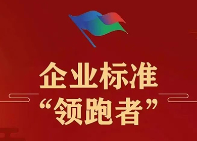 喜訊丨普理司榮獲兩項(xiàng)2023年企業(yè)標(biāo)準(zhǔn)“領(lǐng)跑者”認(rèn)證